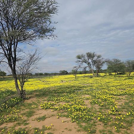 Kaoko Bush Lodge Kamanjab المظهر الخارجي الصورة