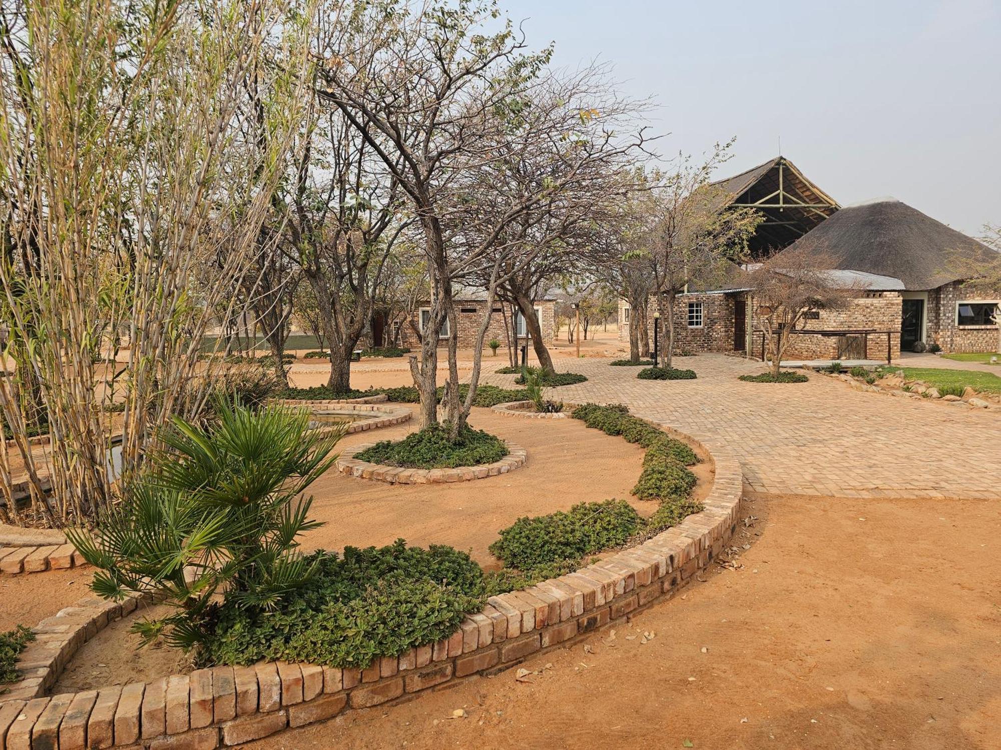Kaoko Bush Lodge Kamanjab المظهر الخارجي الصورة