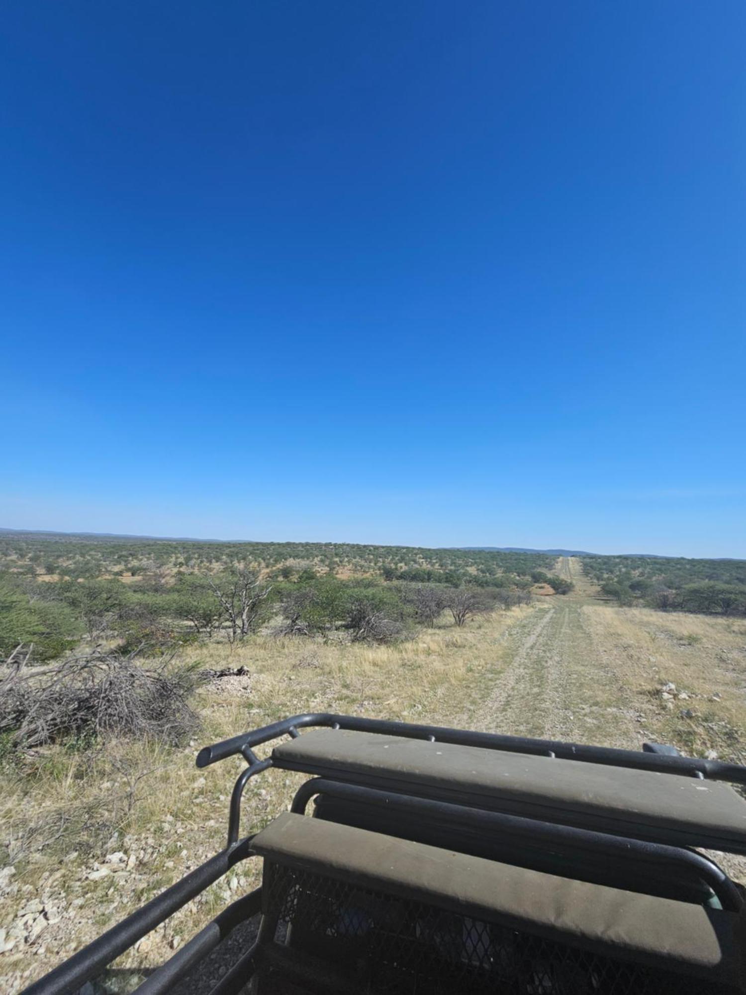 Kaoko Bush Lodge Kamanjab المظهر الخارجي الصورة