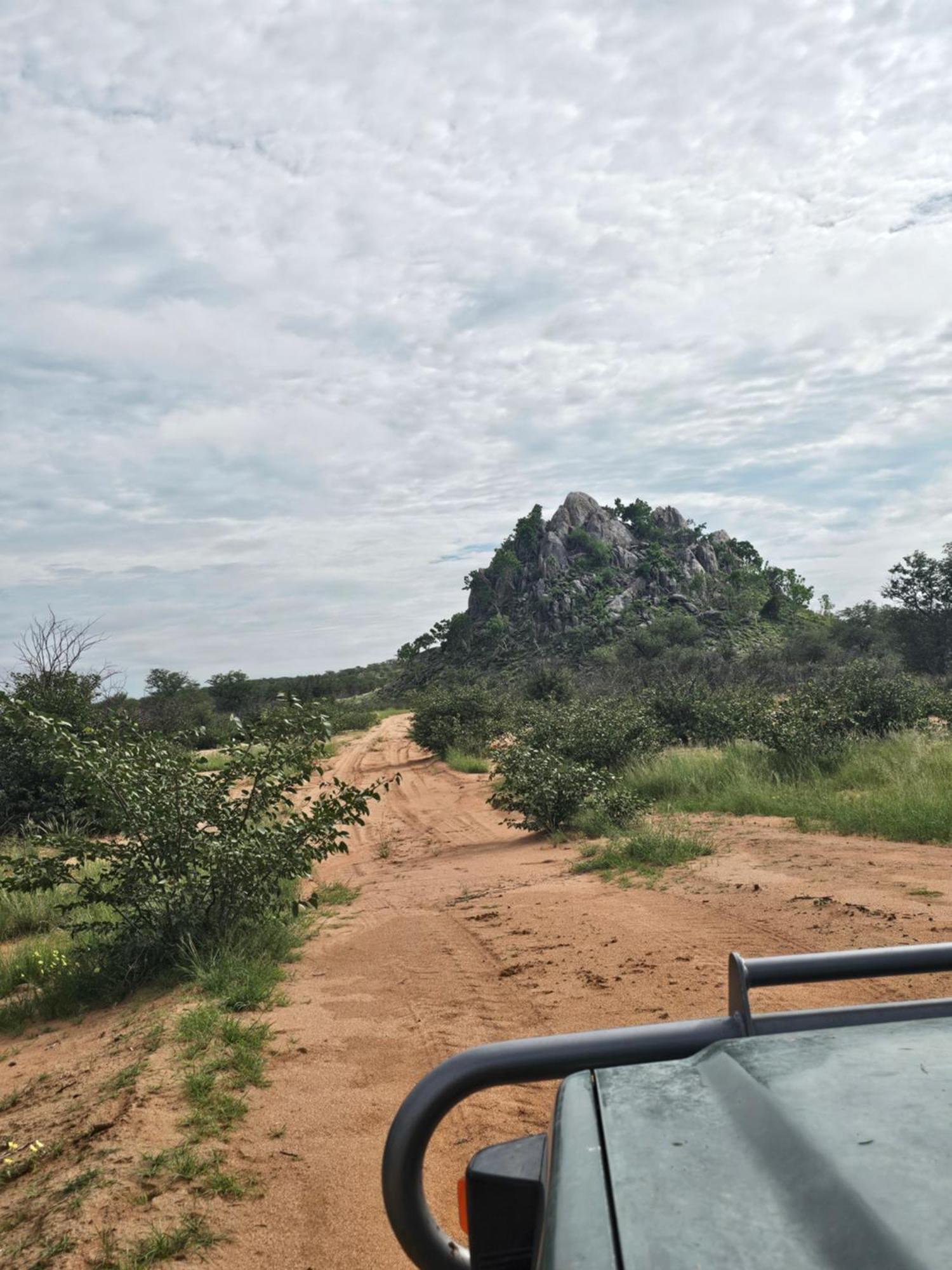 Kaoko Bush Lodge Kamanjab المظهر الخارجي الصورة