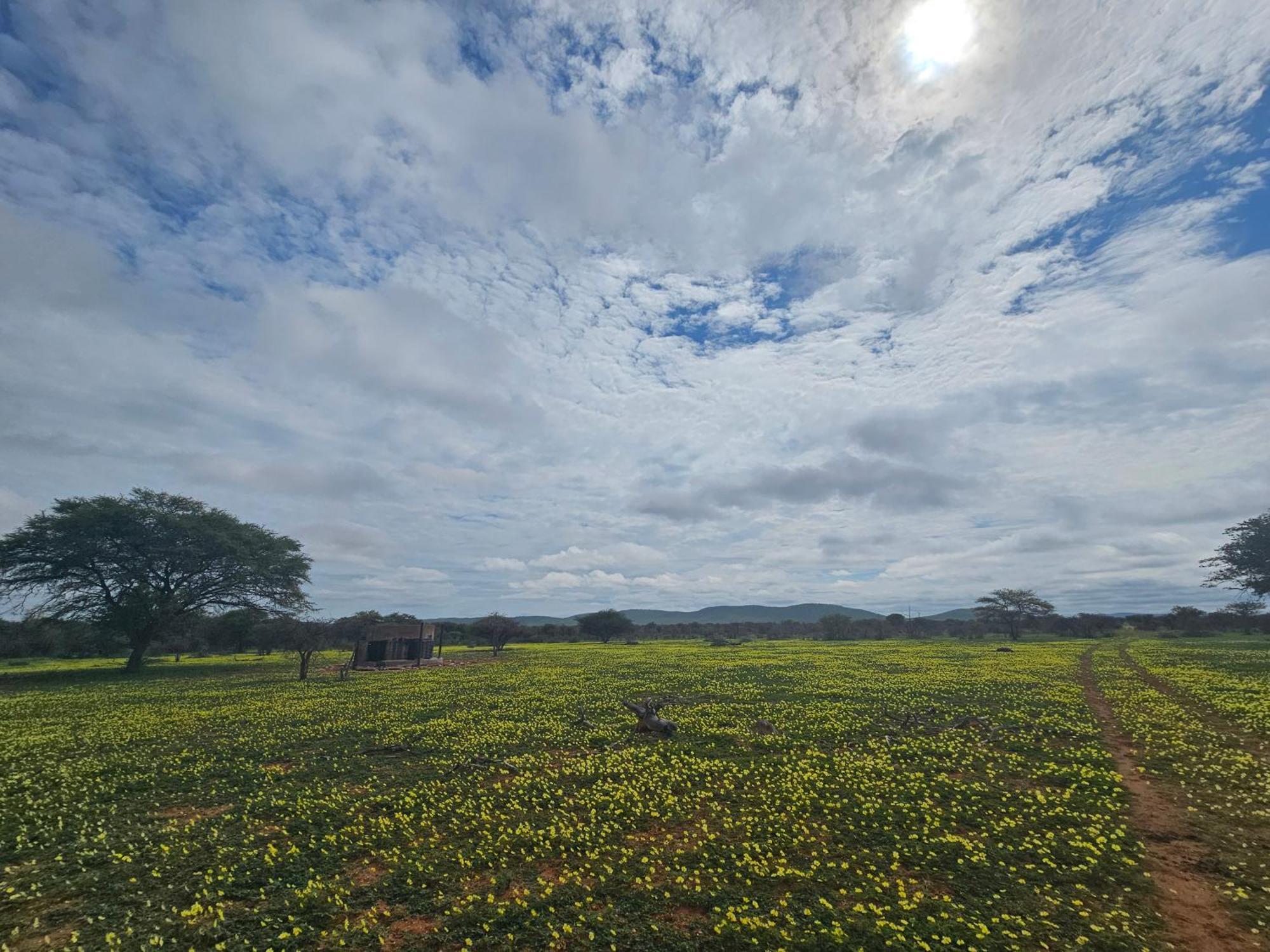 Kaoko Bush Lodge Kamanjab المظهر الخارجي الصورة