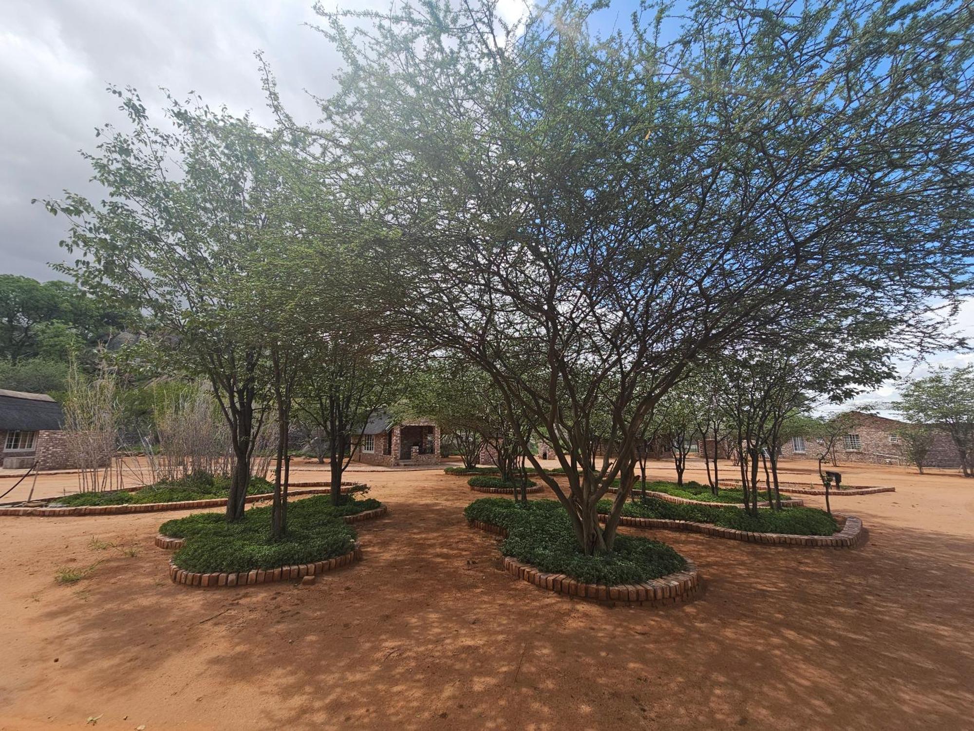 Kaoko Bush Lodge Kamanjab المظهر الخارجي الصورة