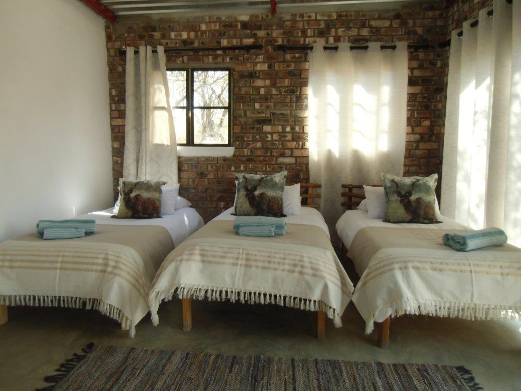 Kaoko Bush Lodge Kamanjab المظهر الخارجي الصورة